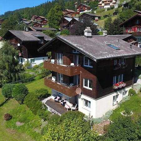 Chalet Gerbera Βένγκεν Εξωτερικό φωτογραφία