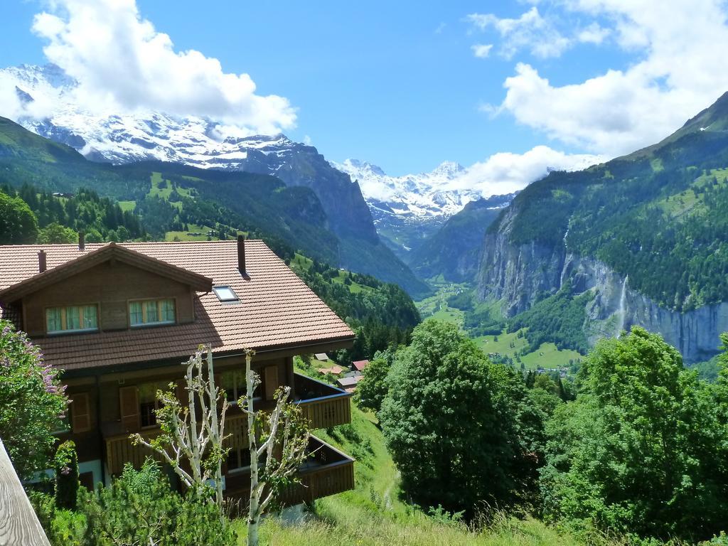 Chalet Gerbera Βένγκεν Εξωτερικό φωτογραφία