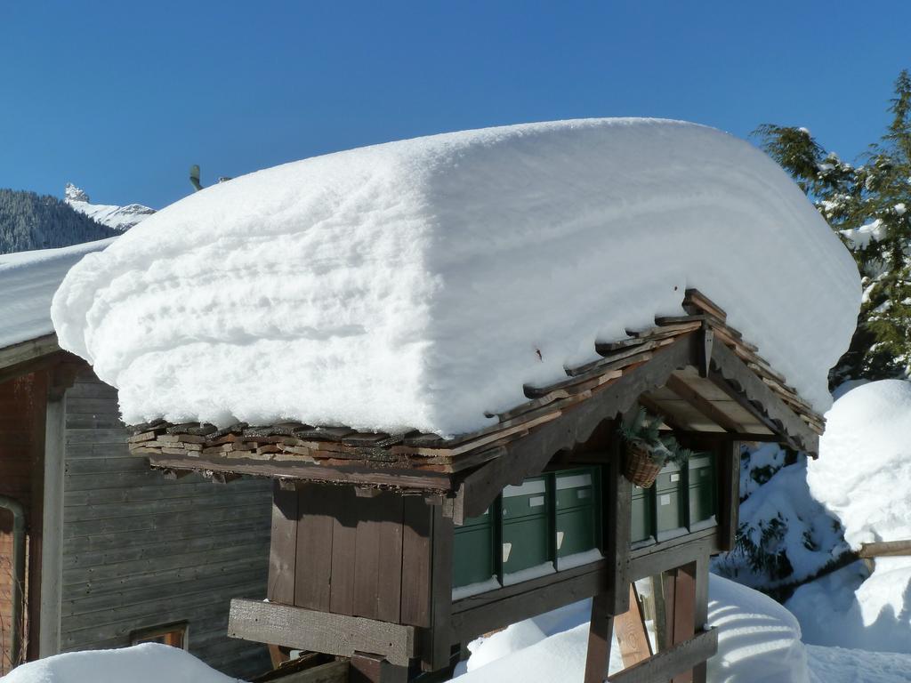Chalet Gerbera Βένγκεν Εξωτερικό φωτογραφία