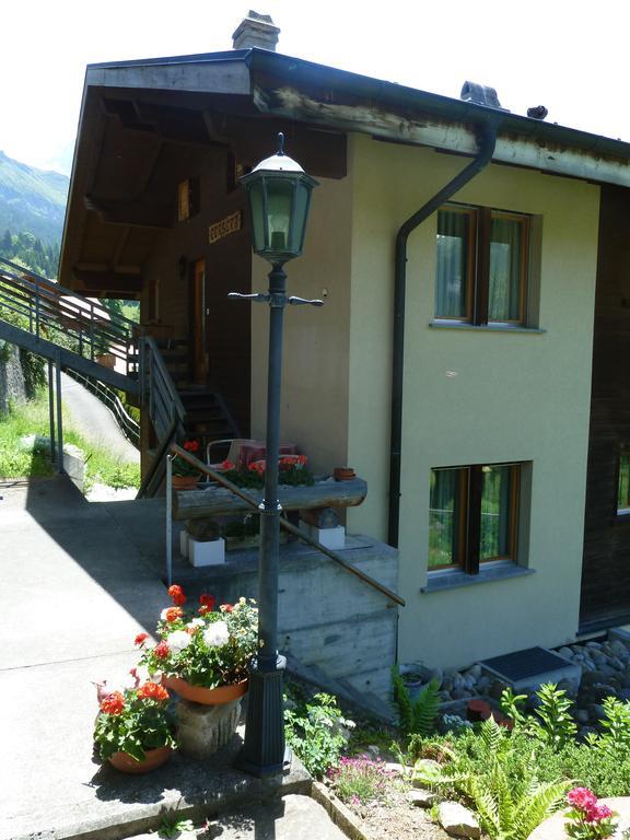 Chalet Gerbera Βένγκεν Εξωτερικό φωτογραφία