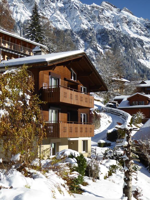 Chalet Gerbera Βένγκεν Εξωτερικό φωτογραφία