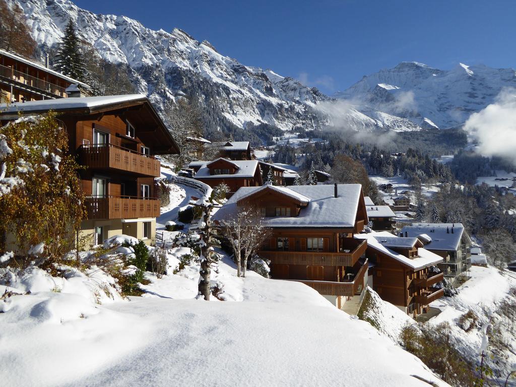 Chalet Gerbera Βένγκεν Εξωτερικό φωτογραφία