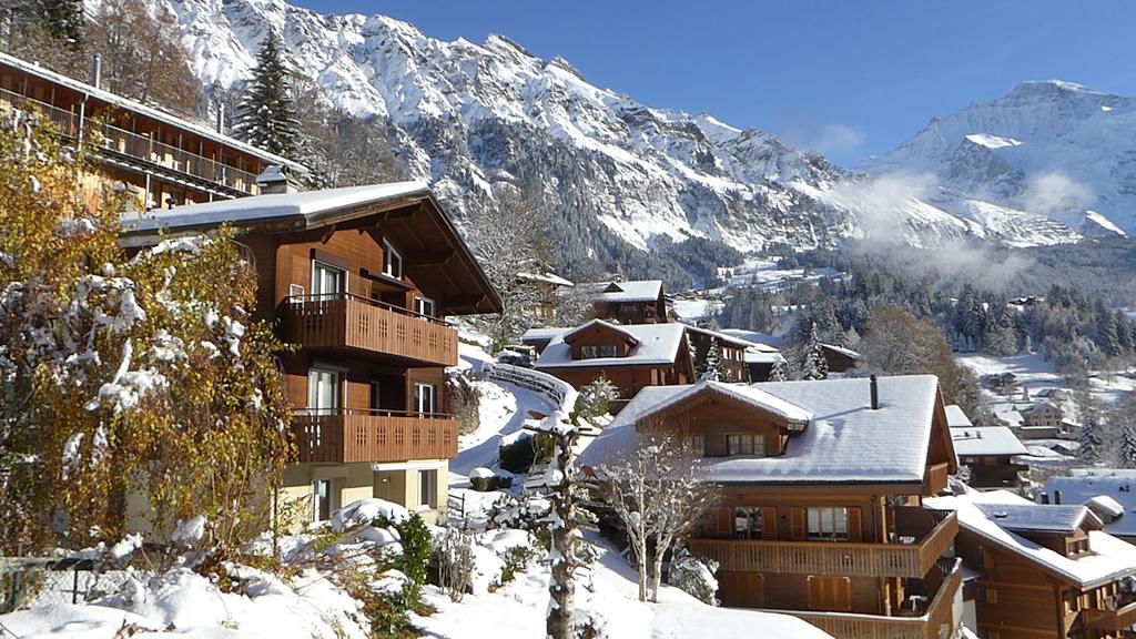 Chalet Gerbera Βένγκεν Εξωτερικό φωτογραφία