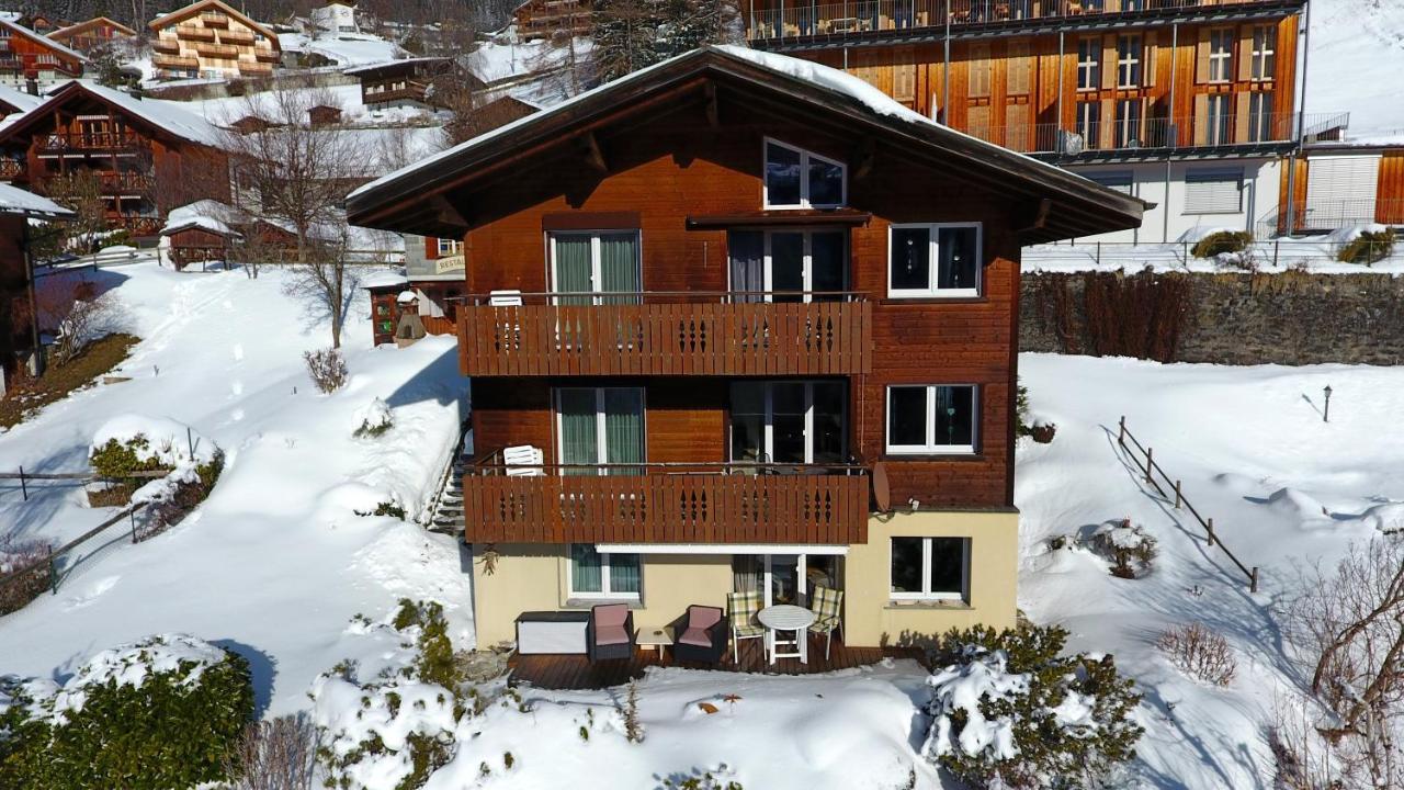 Chalet Gerbera Βένγκεν Εξωτερικό φωτογραφία